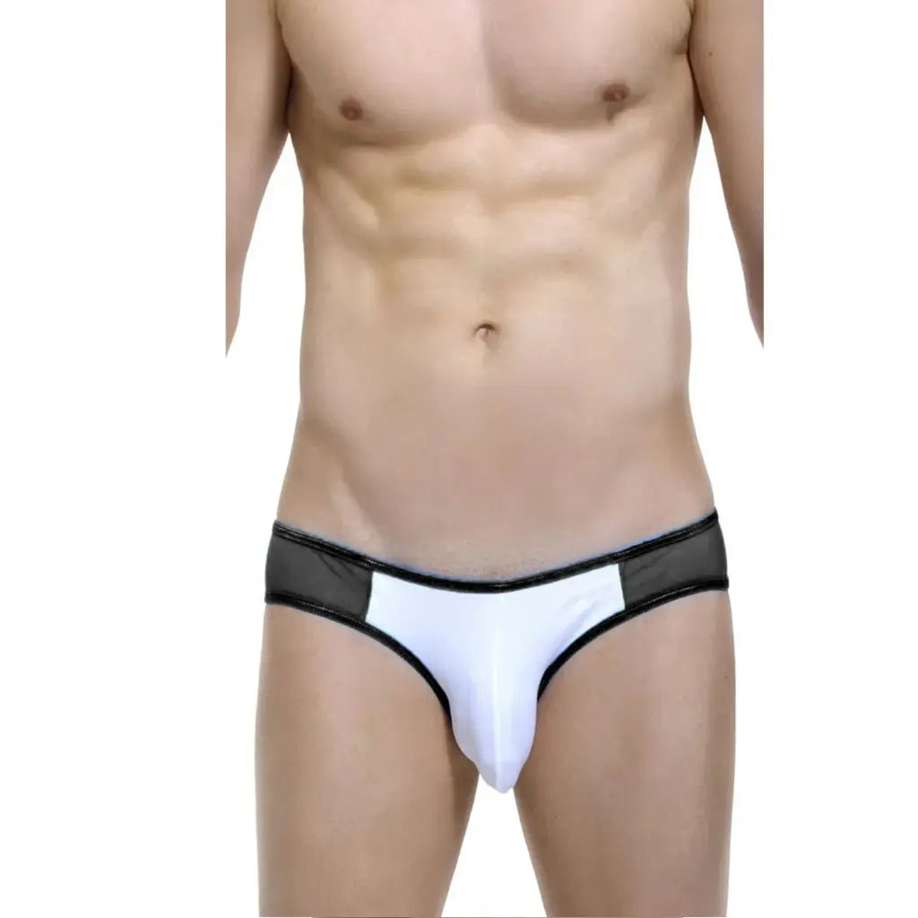 [ML-07171-BK] Men’s Brief Underwear ML-07171 (Black, Free)