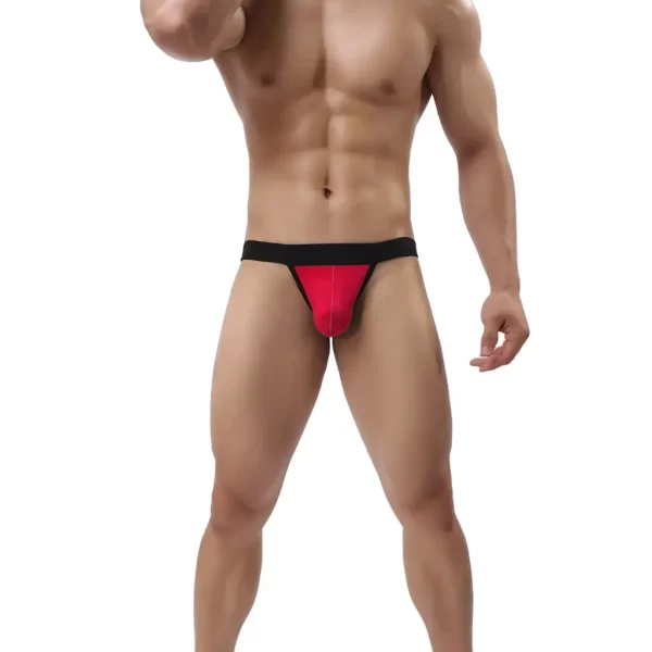 Men's Bikini Underwear ML-07604 - Image 3
